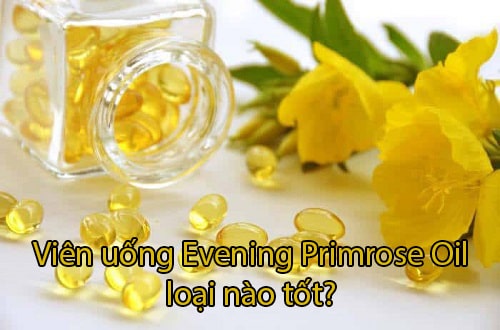 Viên uống Evening Primrose Oil loại nào tốt-1