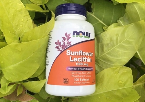 Cách sử dụng Sunflower Lecithin-2