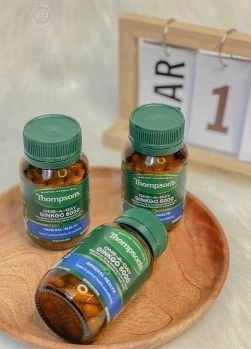 2885-vien-tuan-hoan-mau-nao-thompsons-ginkgo-6000mg-uc1